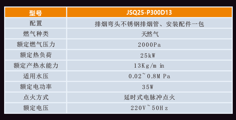 規(guī)格燃氣詳情圖P300D13.jpg